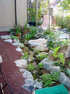 ハセドンの小川